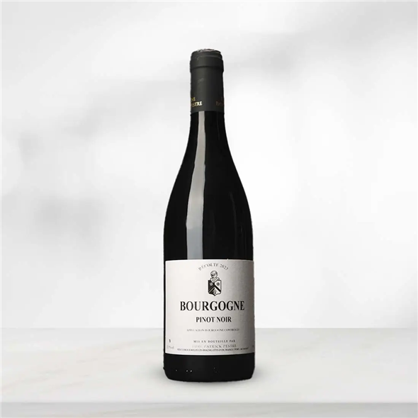 Patrick Pestre<br> Bourgogne Rouge<br> 2024
