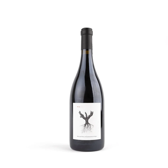 PSI<br> 2021<br><br>